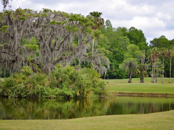 The Claw at USF Golf Courses