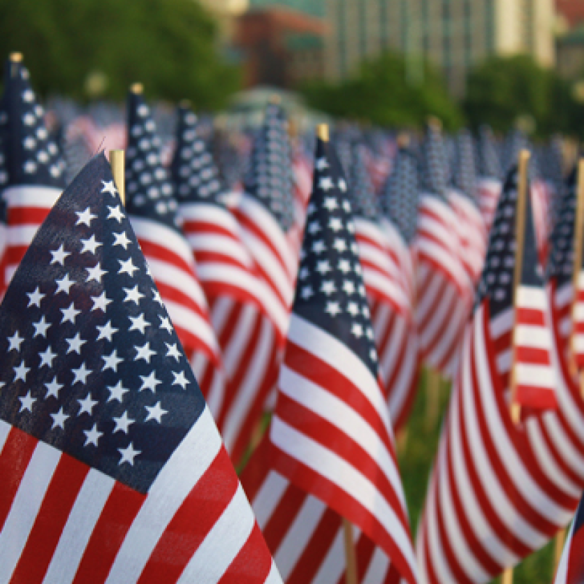 Small American Flags lined up in grass