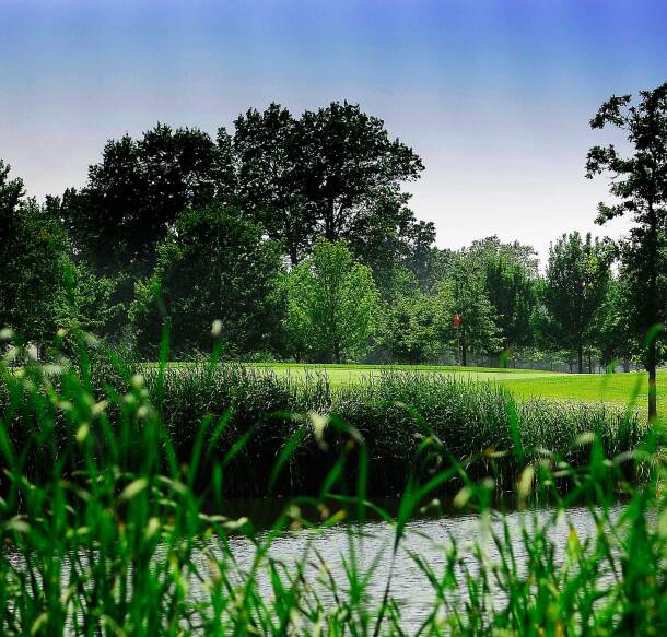 Briardale Greens Golf Course