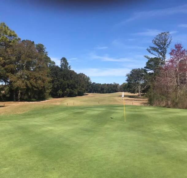 Brentwood Green Course